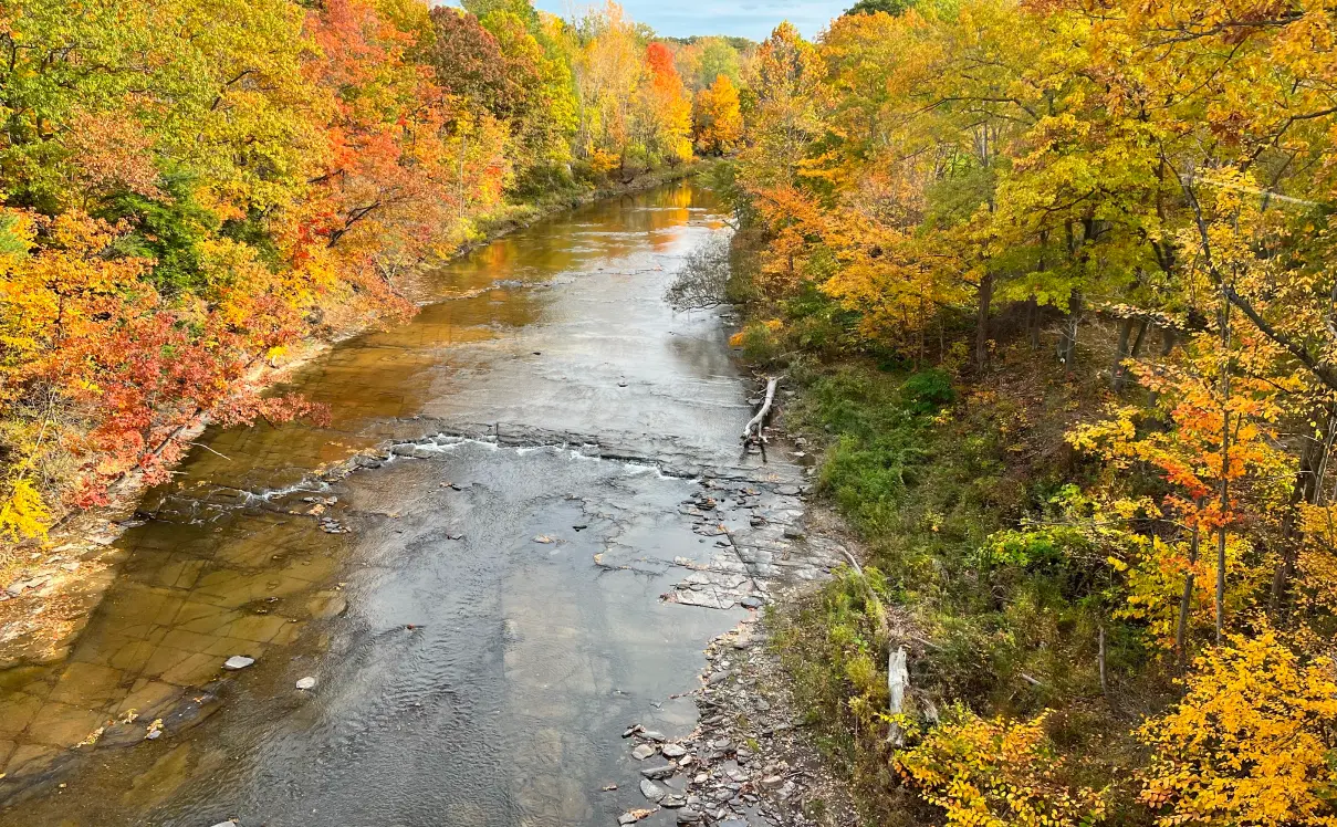 Elma-NY